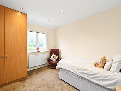 Picture 24